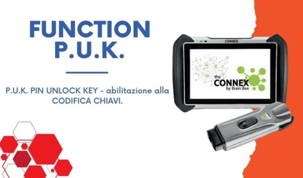 FUNCTION P.U.K. per Brain Bee Connex